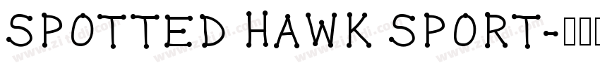 SPOTTED HAWK SPORT字体转换